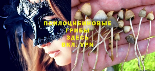 соль ск Белокуриха