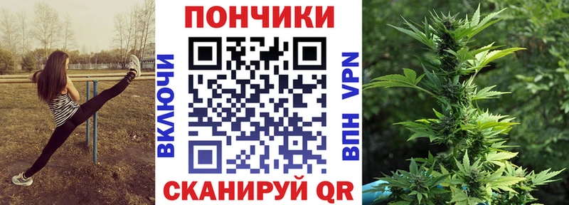 наркота  Бокситогорск  МАРИХУАНА ГИДРОПОН 